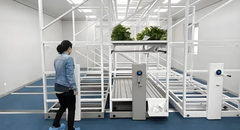 A person standing in a modern plant storage facility with automated racks and plants on a conveyor