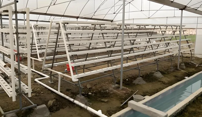 A greenhouse interior showing a hydroponic system with multiple tiers of pipes for growing plants