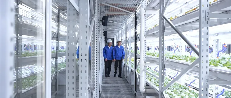 What Role Do Vacuum Forming and Extrusion Play in Vertical Farming?