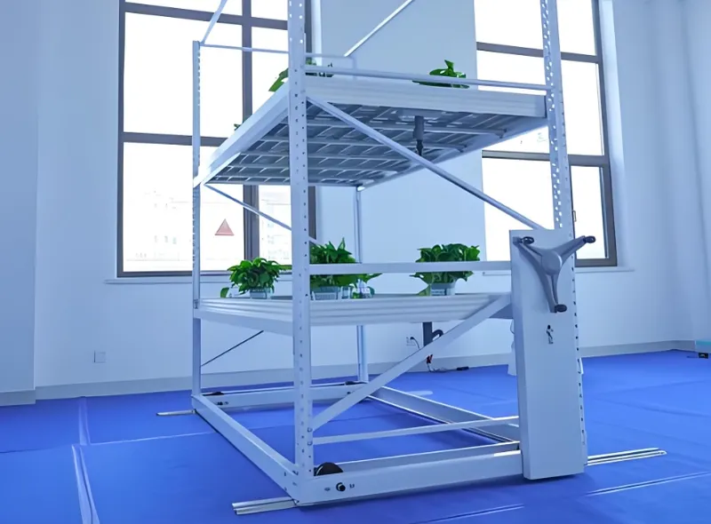 A multi-tiered indoor plant rack with potted plants in a brightly lit room