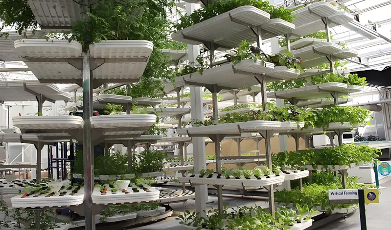 A vertical farming setup with multiple tiers of plants growing indoors